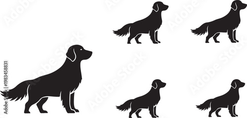 Black silhouette of five running ostriches in various poses bird animal