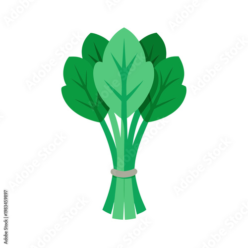 Fresh green spinach leaves tied together with ribbon on transparent background, healthy food illustration