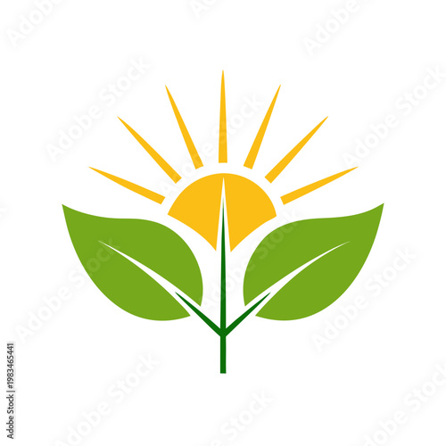 Sun and leaves, simple nature symbol, abstract growth concept, organic plant element, vector