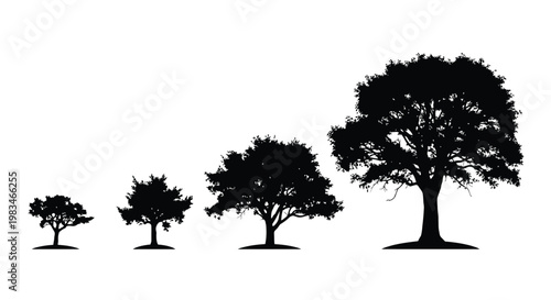 A sequence of trees illustrates growth from seedling to maturity