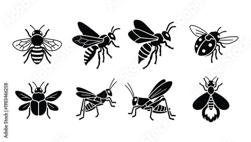 A collection of black silhouette insects including bees wasps and grasshoppers arranged on a white background