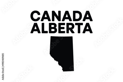 Blueprint of a metal scaffolding structure with a ladder attachment