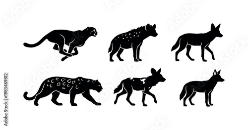 Adobe Illustrator Artwork