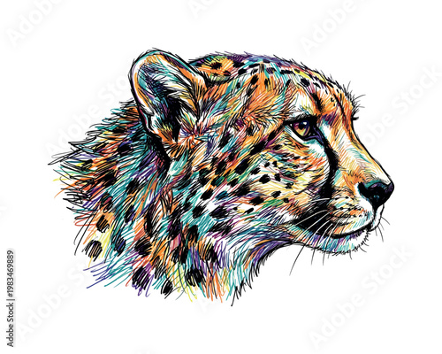Cheetah head profile facing right with elongated muzzle and smooth spotted pattern emphasized through directional pen strokes,
