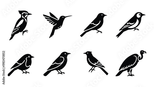 A collection of eight black silhouette icons depicting various perching bird species high quality professional detailed