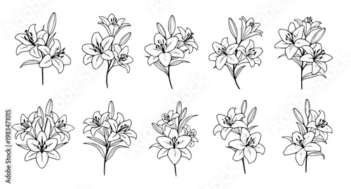 Photos Lily Flower Icon Collection – Black Floral Mourning Symbol Set