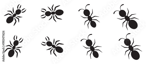 Small Ant Silhouettes in Different Angles for Natural History and Science Books. vector illustration eps 10