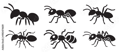 Minimalist Black Ant Silhouettes in Motion for Creative Nature Art and Logos. vector illustration eps 10