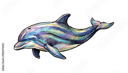 Dolphin facing forward in full body view with balanced symmetry and flippers spread, smooth body contours clearly defined with