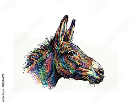 Donkey head profile facing right with elongated muzzle and tall ear structure emphasized through directional pen strokes and