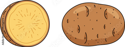 Whole and sliced potato set isolated on white background, fresh raw vegetable cross section vector illustration