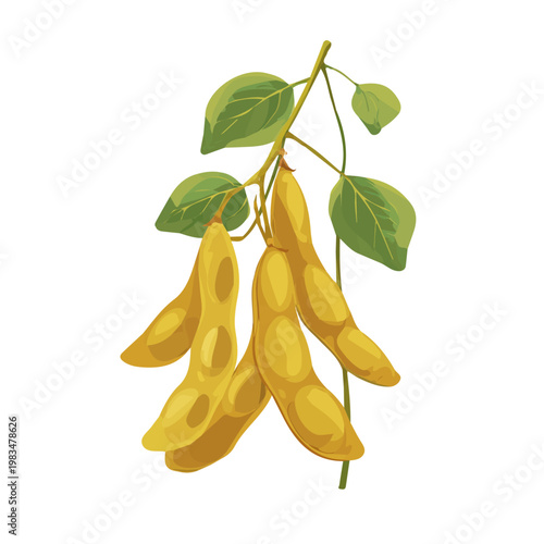 Minimalist 2D vector icon representation of a Soybean, displayed on a pure white background