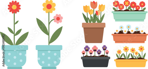 Potted flowers vector set colorful blooming plants in pots collection flat design spring garden illustration isolated