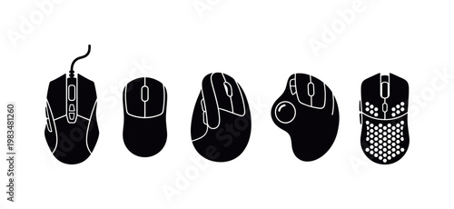 Adobe Illustrator Artwork