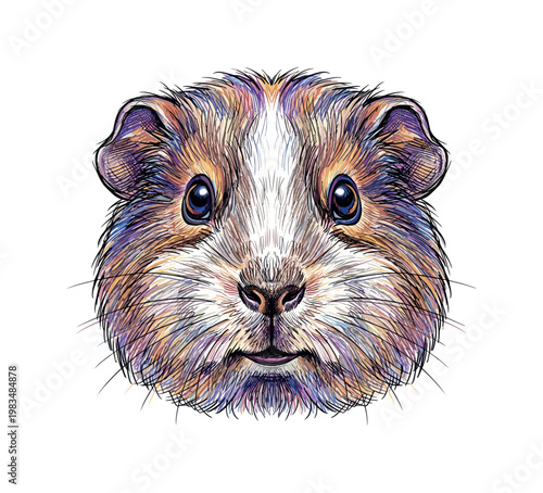 Close-up portrait of a colorful guinea pig with expressive eyes and detailed fur texture