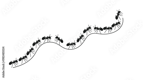 Silhouette of a group of black ants marching in an orderly line along a curved path representing teamwork, hard work, and insect behavior.
