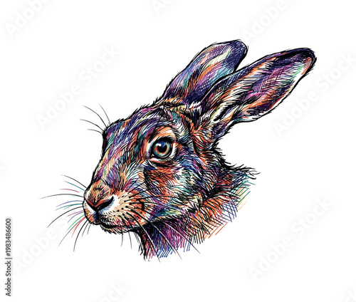 Close-up hare head focusing on eyes nose and ear base with layered strokes creating refined structure and soft depth, expressive