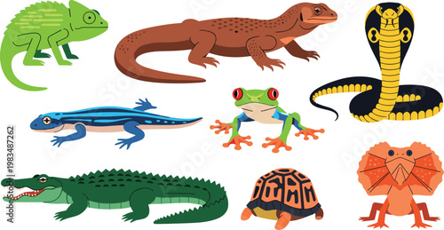 Colorful Reptile and Amphibian Vector Set Featuring Chameleon, Crocodile, Snake, and Turtle for Wildlife and Nature Illustrations