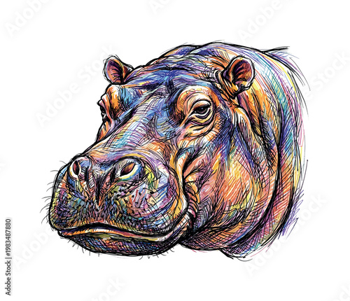 Hippopotamus head slightly angled downward with calm heavy gaze and layered skin detail forming soft contours across face and jaw,