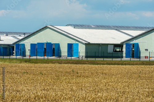 The facade of a modern cow farm building. An agro-industrial complex surrounded by a green field. Natural animal husbandry.