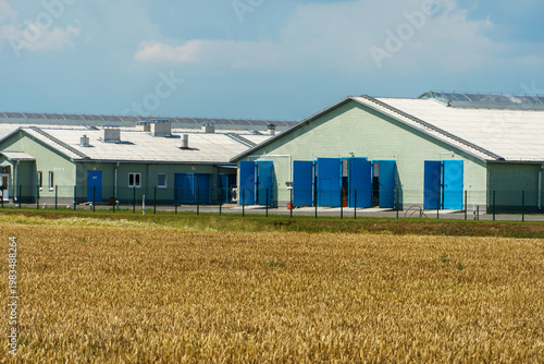 The facade of a modern cow farm building. An agro-industrial complex surrounded by a green field. Natural animal husbandry.