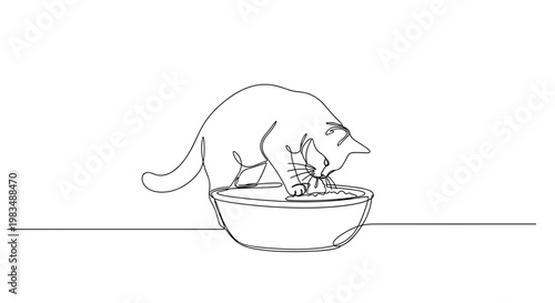 Cat eating food from bowl on minimal background
