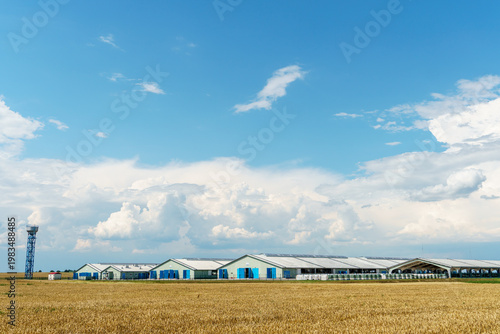 The facade of a modern cow farm building. An agro-industrial complex surrounded by a green field. Natural animal husbandry.