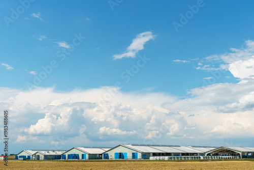 The facade of a modern cow farm building. An agro-industrial complex surrounded by a green field. Natural animal husbandry.