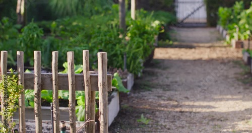 Camera pulling back, shifting right, revealing beds and picket fence, framing gravel path and gate