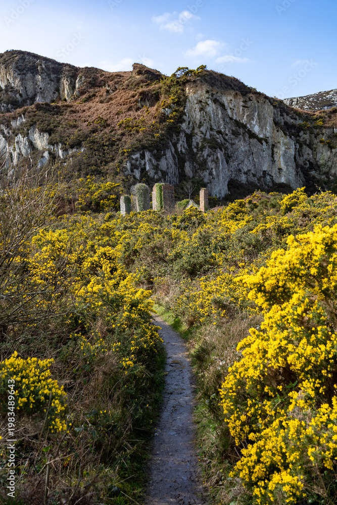 Fototapeta premium spring time walking around Holyhead Breakwater park