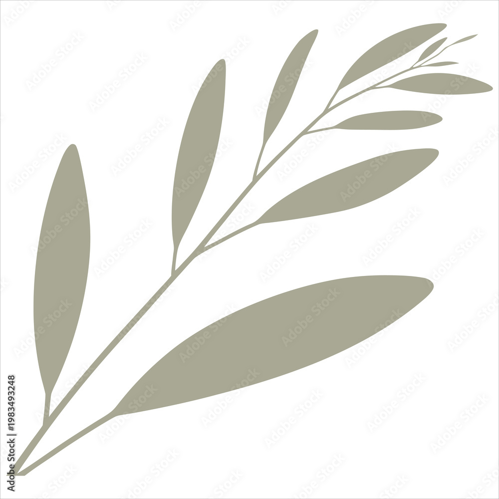 Obraz premium A minimalist illustration of an olive branch on a white background