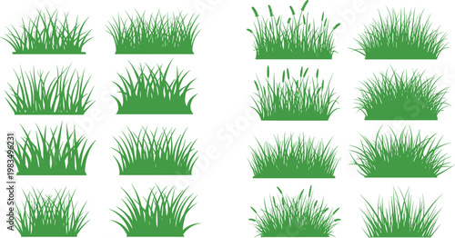 Set of green grass silhouettes collection isolated on white background, natural lawn elements for landscape design and vector illustration