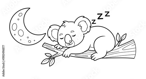 Cartoon koala sleeping on a branch under the moonlight  
