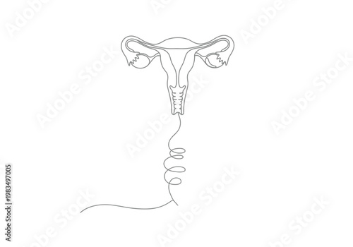 Single line drawing of female uterus reproductive system with iud contraception