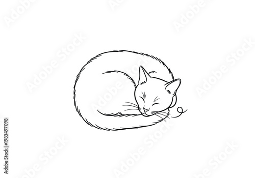 Cute sleeping cat curled up in a ball outline drawing illustration with line art