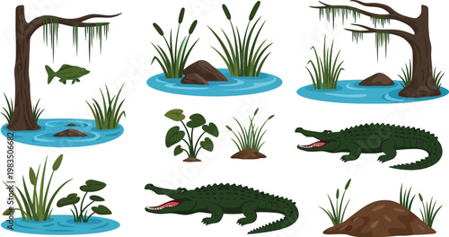 Alligators appear in a collection of aquatic habitat illustrations featuring swamp plants and natural landscape elements.