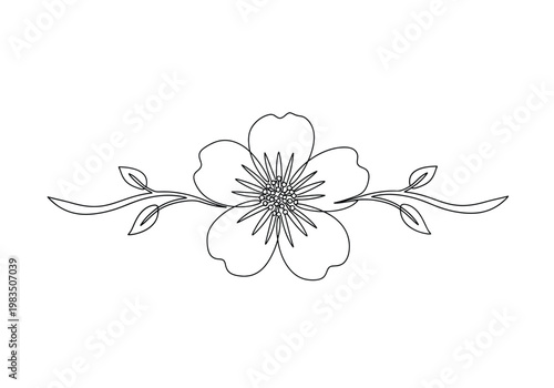 Delicate five petal flower illustration with leafy stems