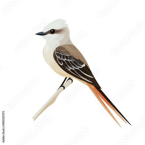 Minimalist 2D vector icon representation of a Scissor-tailed Flycatcher, displayed on a pure white background