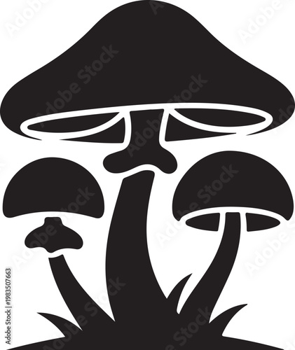 Black and white of a group of mushrooms growing from the ground fungi nature