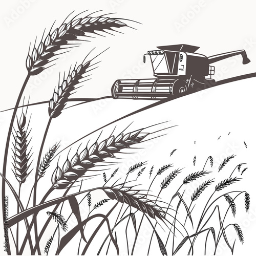 A detailed monochrome illustration depicts a combine harvester working in a wheat field showcasing the harvest season high quality professional modern elegant