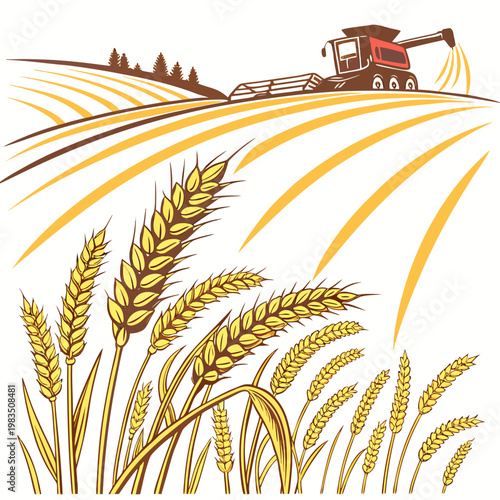 A vibrant illustration showcases a combine harvester working in a golden wheat field alongside close up stalks of ripe grain high quality