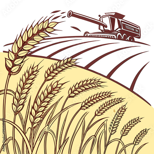 An illustrative depiction showcases a combine harvester working within golden wheat fields with stalks prominently featured in the foreground high quality professional