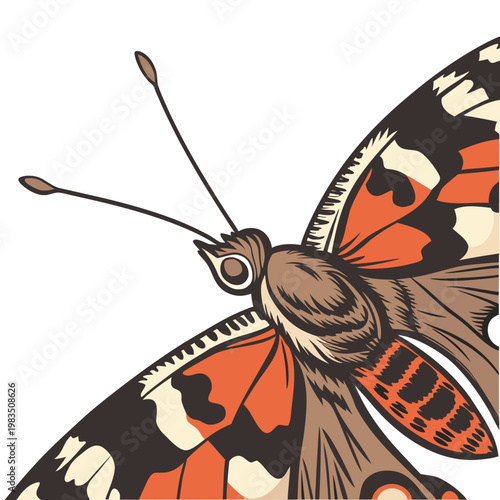 A strikingly detailed illustration depicts a close up view of a butterfly s wing showcasing its intricate patterns and vibrant coloration