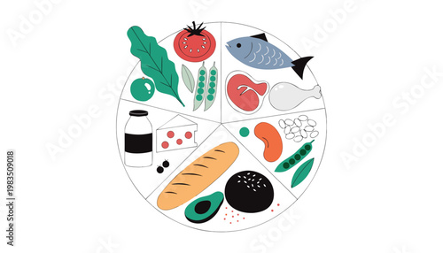 Food groups on a plate diagram