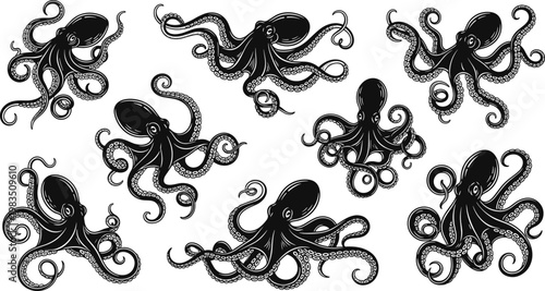 Vintage Octopus Illustration Set with Detailed Tentacles and Marine Engraving Style for Tattoo, Nautical, and Sea Life Design