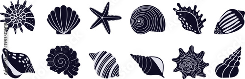 Seashell silhouettes set with starfish and marine elements. Minimal ocean collection in monochrome style for beach design, logos, icons and packaging. Vector illustration.