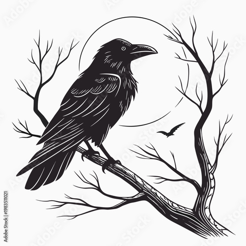 Crow on a tree branch bird black and white