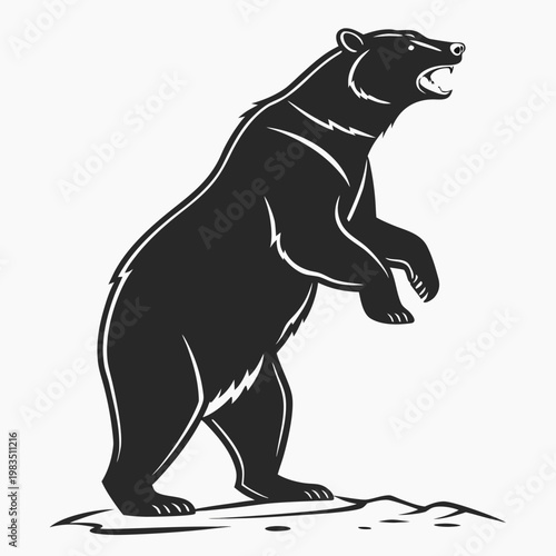 Standing bear on a rock black bear wildlife