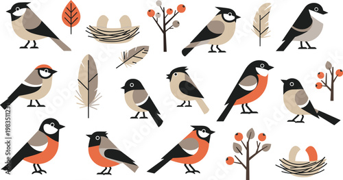 Cute forest bird vector collection featuring bullfinch birds, nests, feathers and branches in flat cartoon style illustration set
