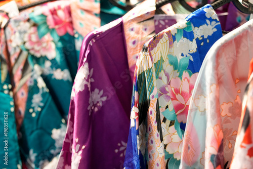 Japanese Kimono detail Colorful Decorated